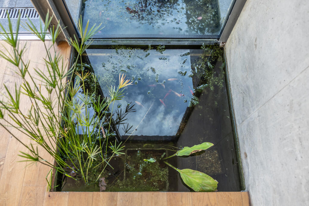 232033 - FrithvilleGardensLondon-JSouteyrat-144...