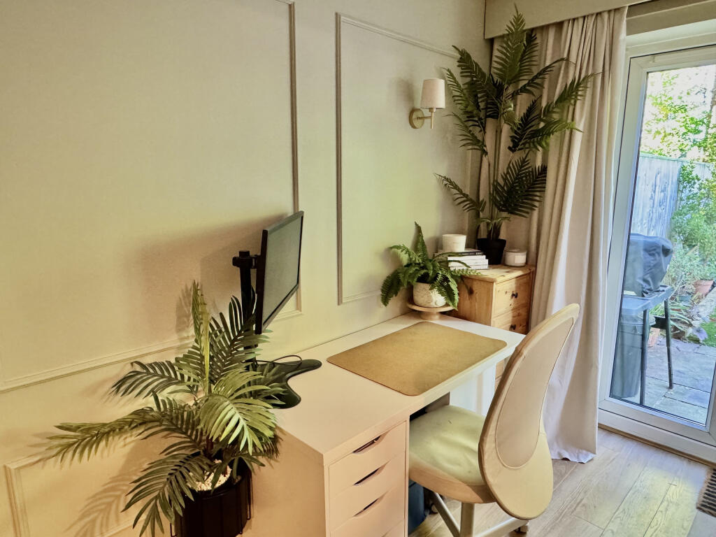 Study Area