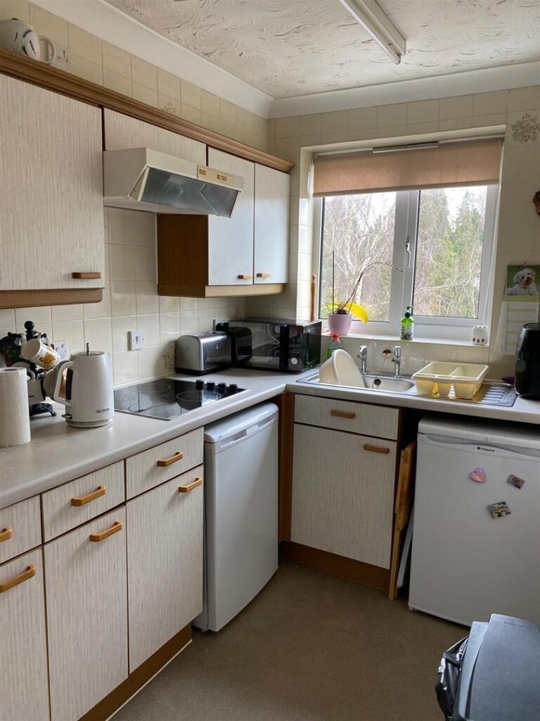 IMG-20250214-WA0002 (Large).jpg