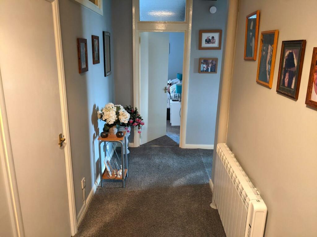 PXL_20240311_144836949 (Large).jpg