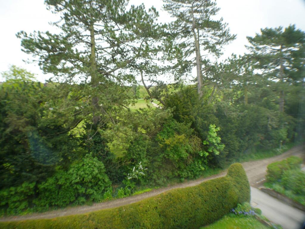 View  from Living Ro