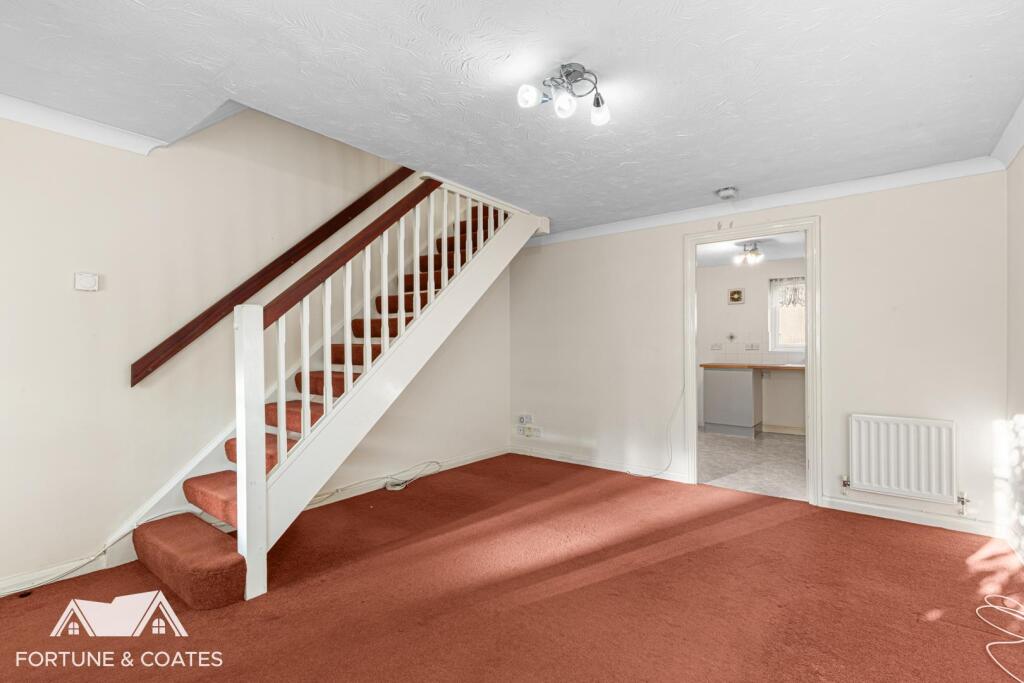 SheldonClose_2.jpg