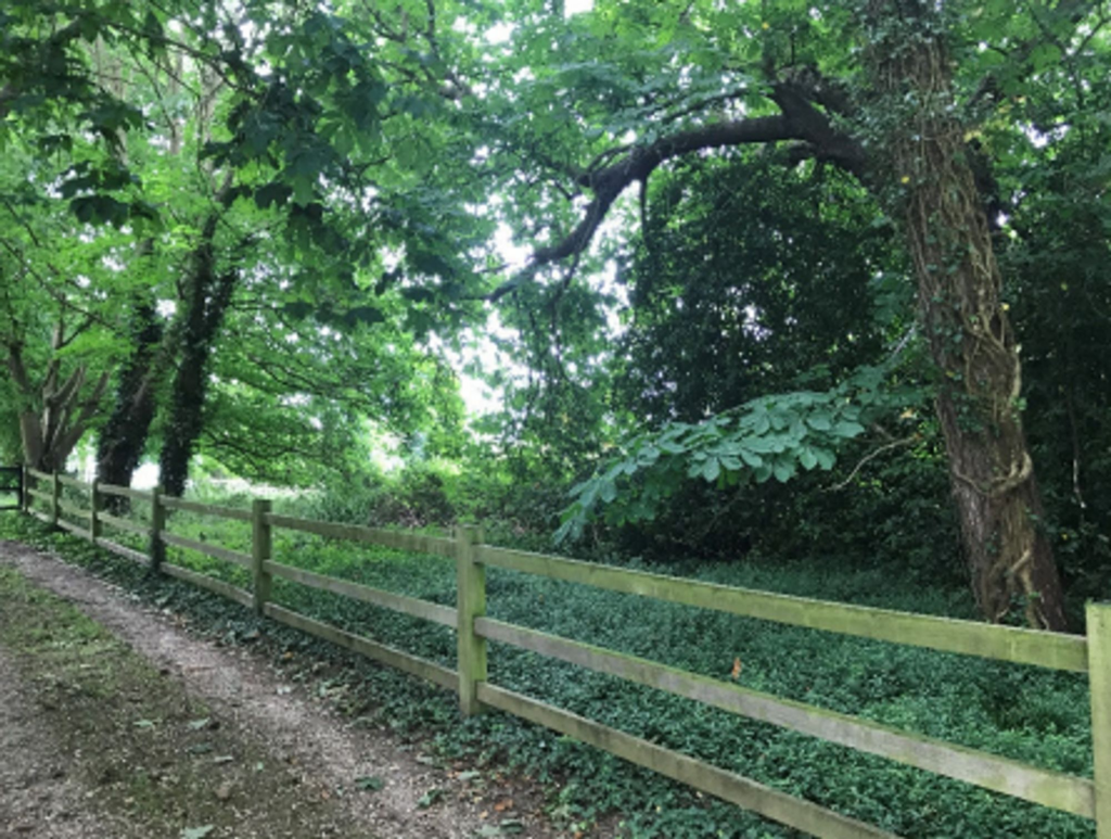 Proposed Access To Site