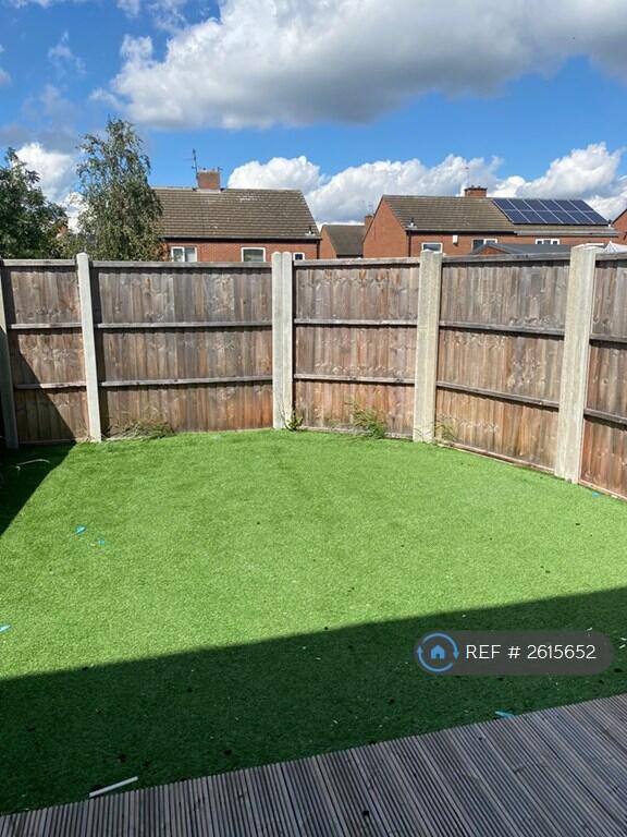 Back Garden