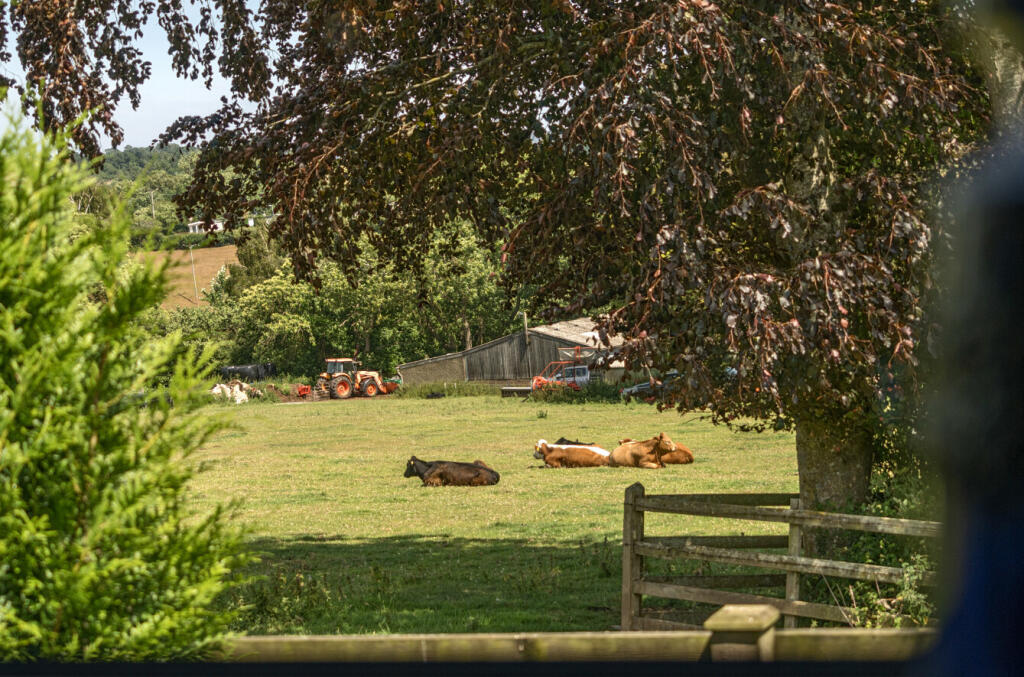 1315591-17-685db3...