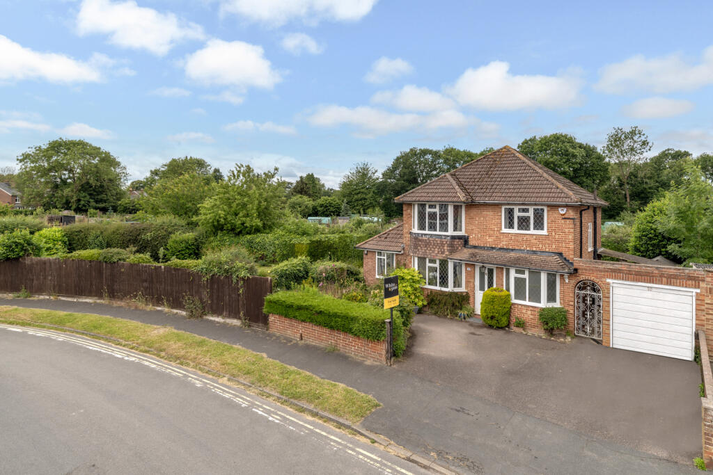 Picture No. 16