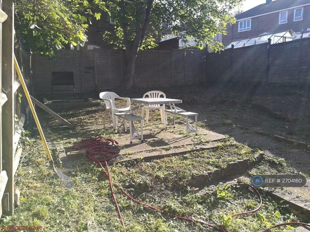 Back Garden