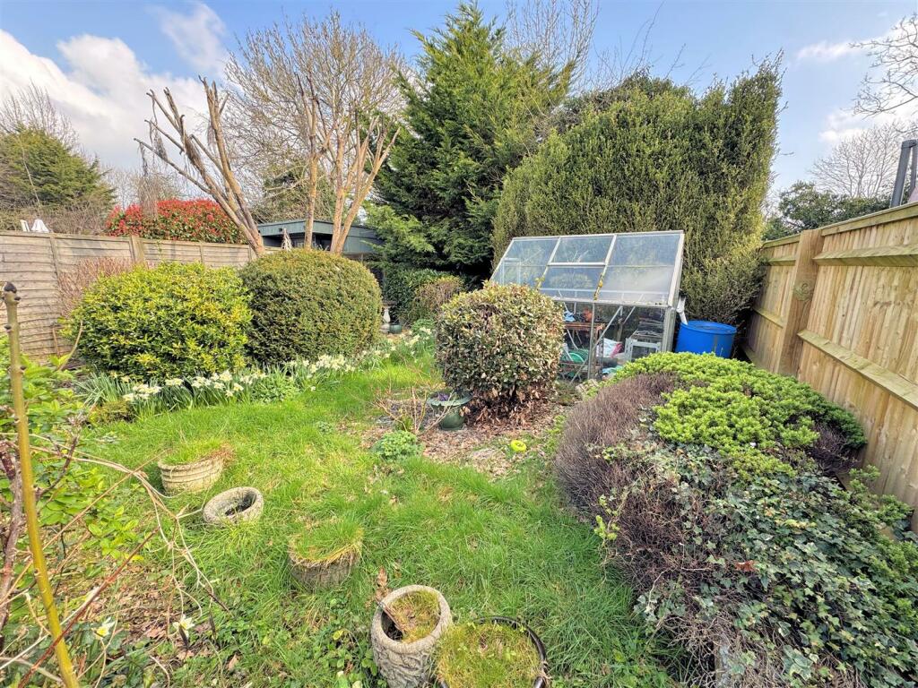 Garden 4.jpg