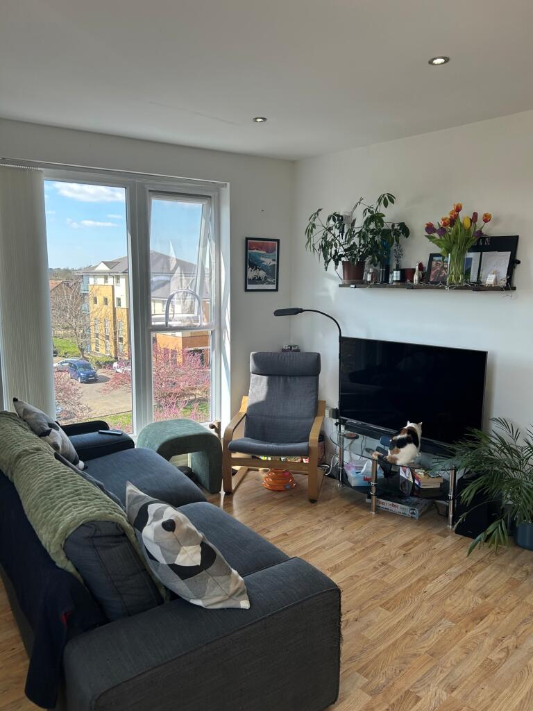 Open plan living area