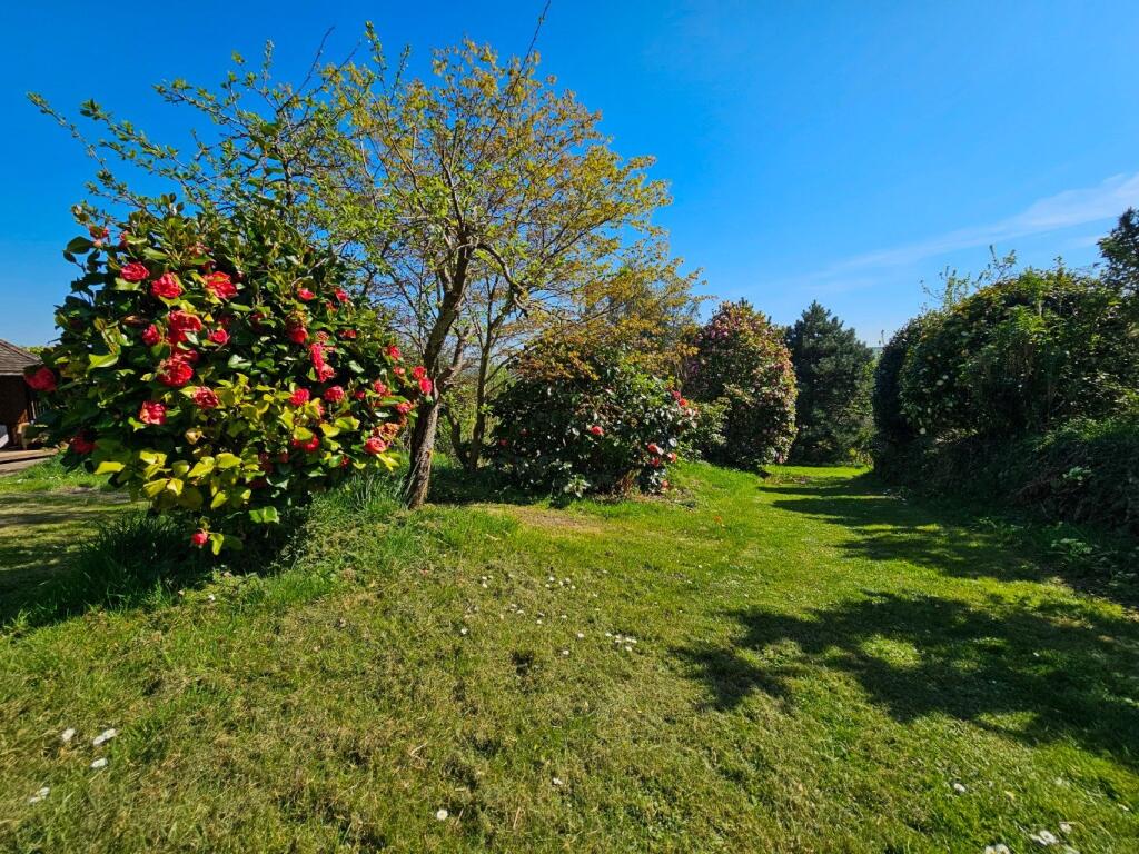 Orchard