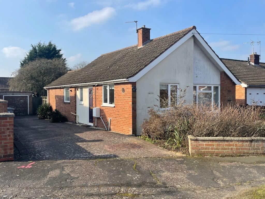 B  Medium  T202502201122.jpg