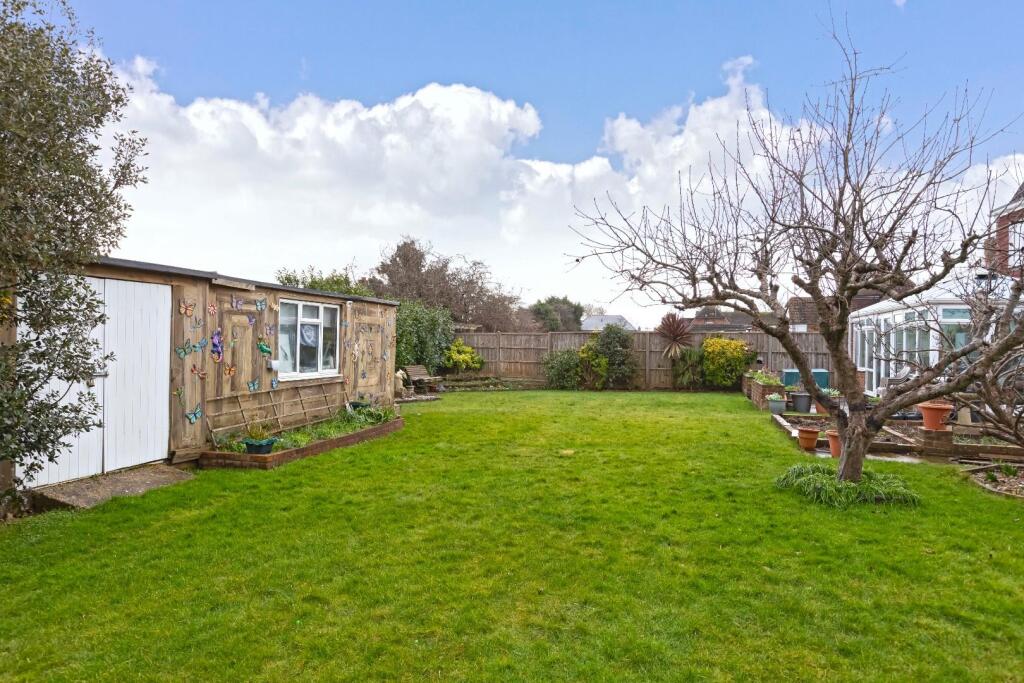Hammy Close_13.jpg