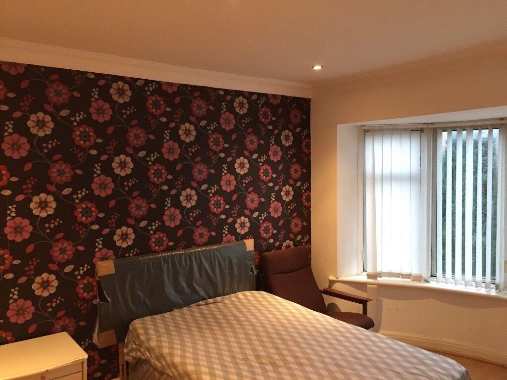 Cosy double bedroom with patterned feature wall...