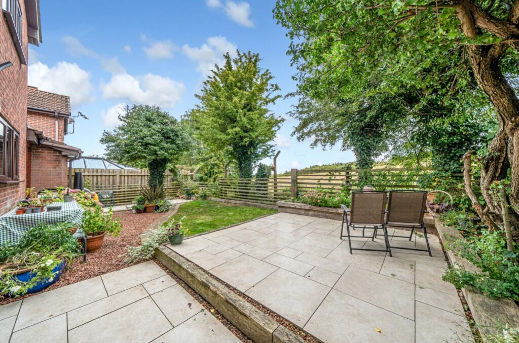 Back Garden
