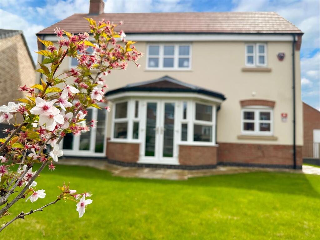 Untitled-20 copy.jpg