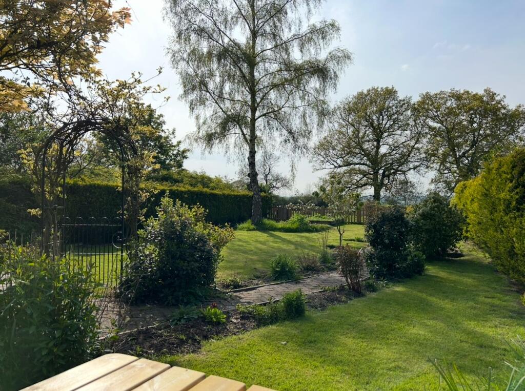 Summer phot of garden