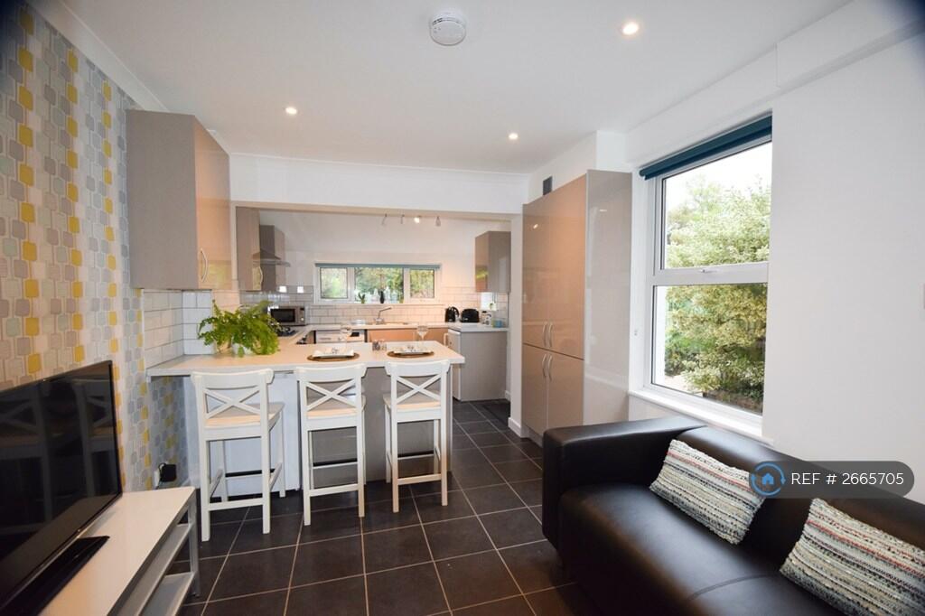 Large Kitchen /Diner With Sofa And Freeview Tv