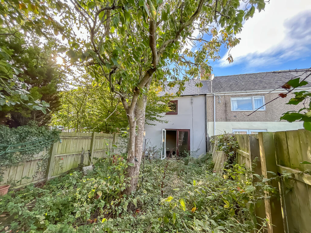 IMG 6905 T202510100925.jpg