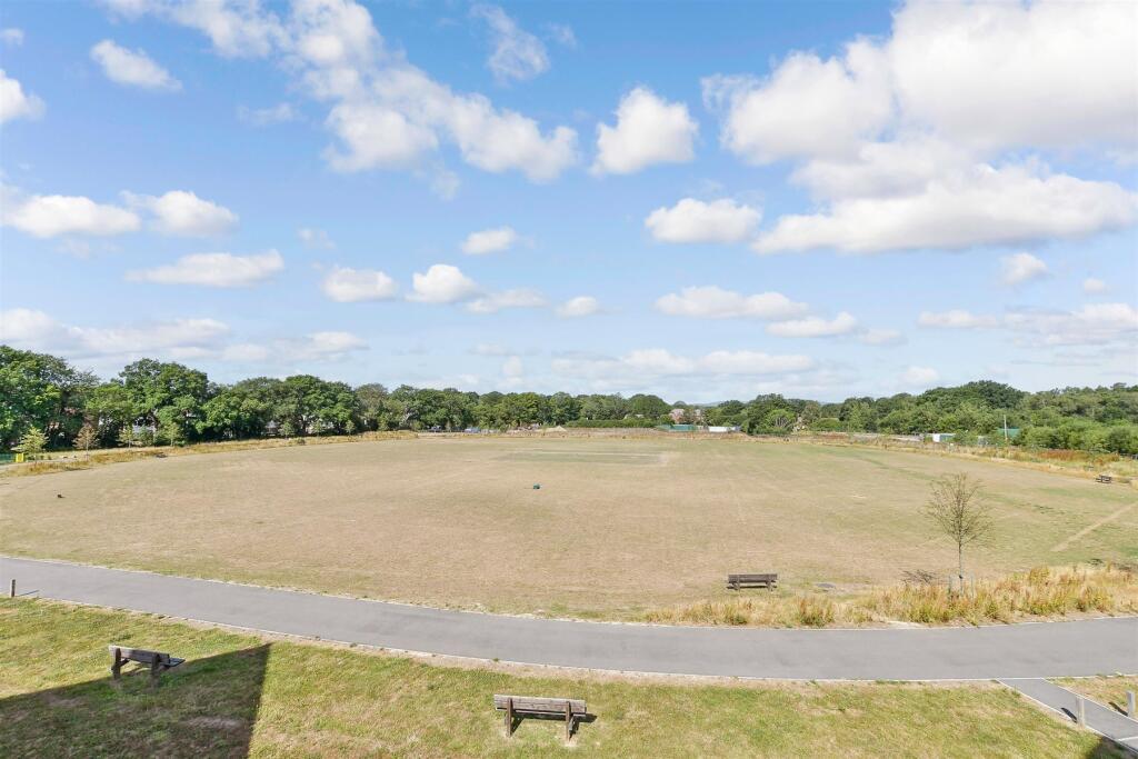 Surrounding Area