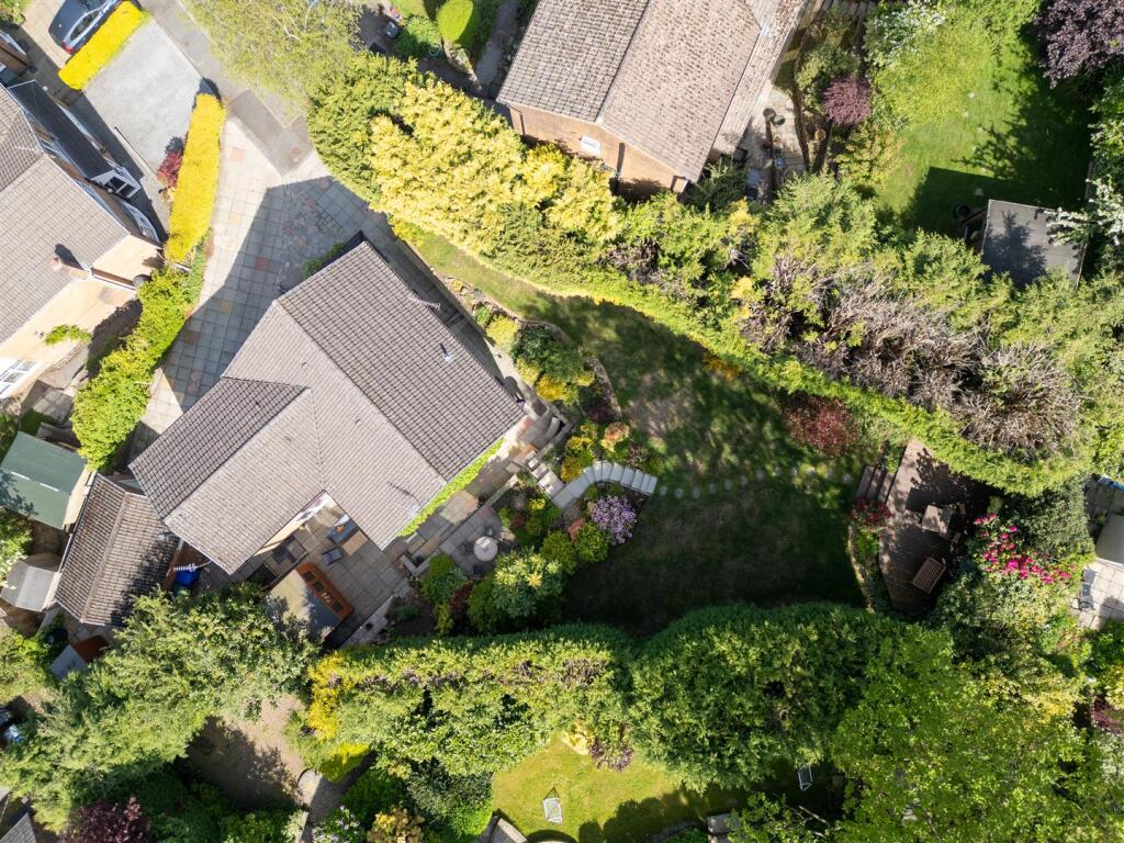 DJI_0028.jpg