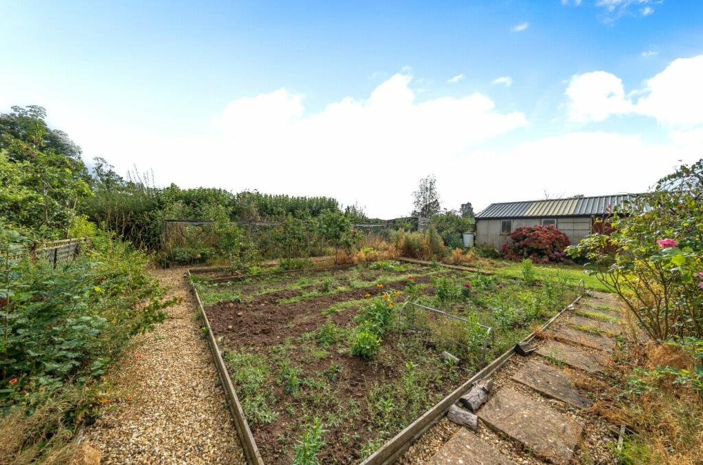 Vegetable Garden