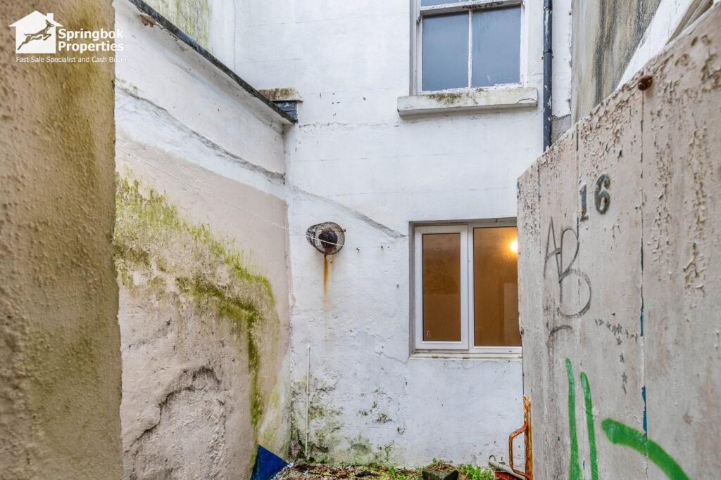 IMAGE 12