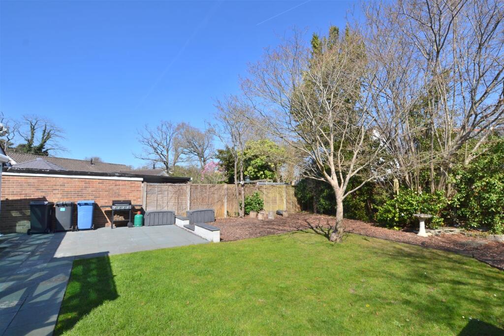 new garden 4 .JPG
