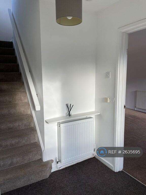 Downstairs Hallway