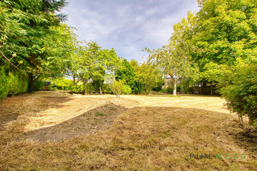 Rear Garden (Exterior)