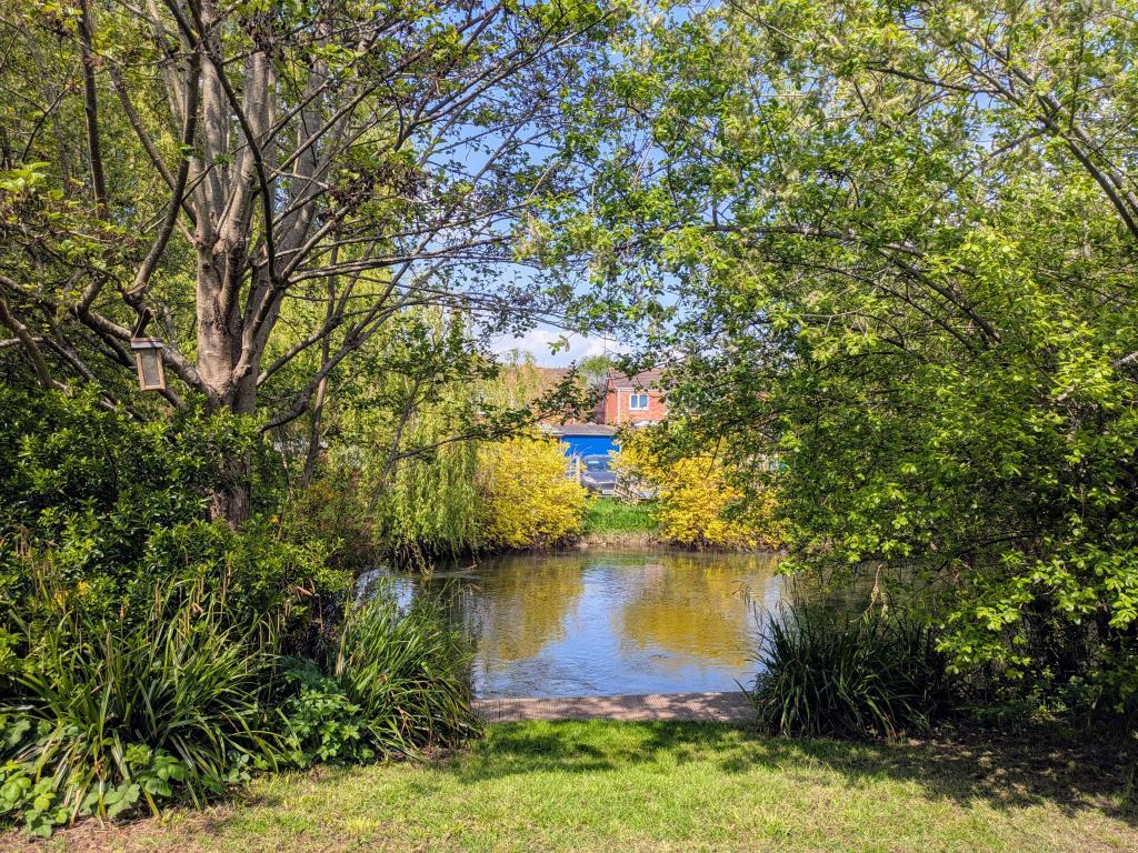 River view