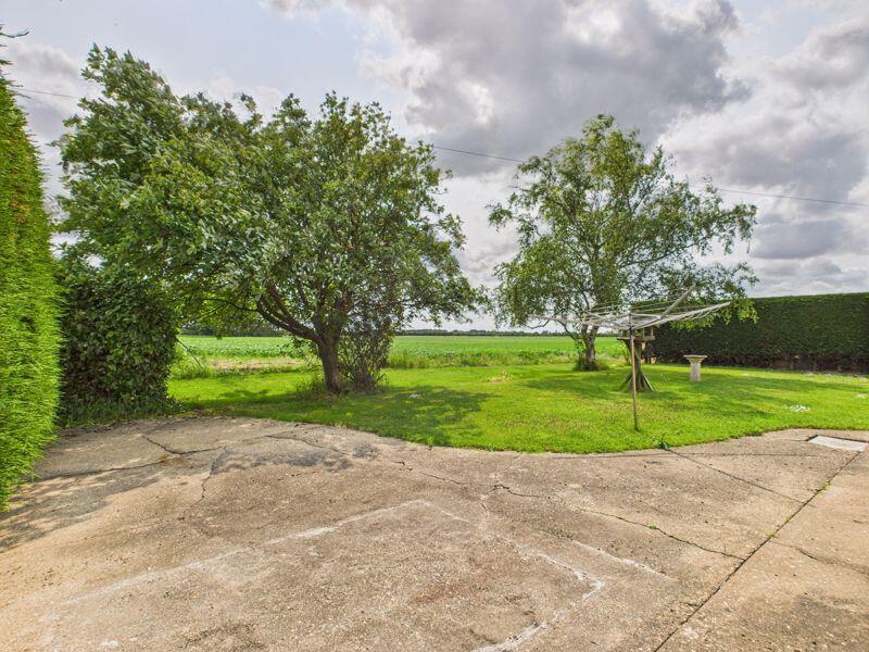 Driveway/rear garden