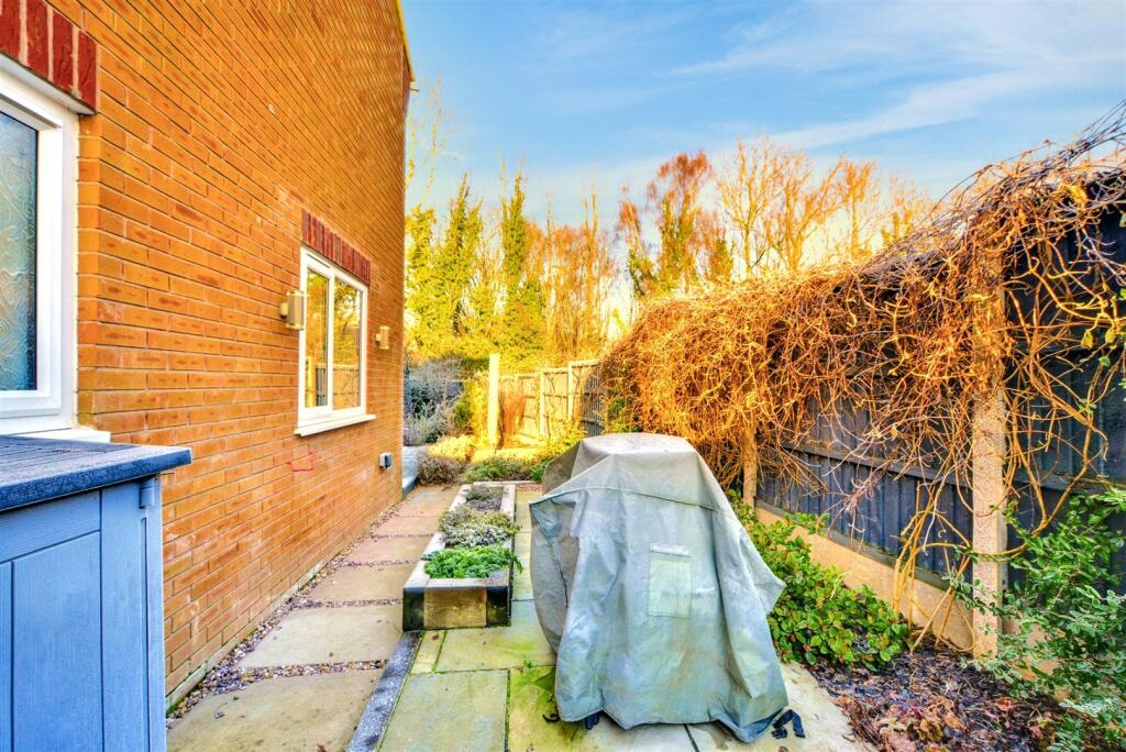 Garden_4.jpeg