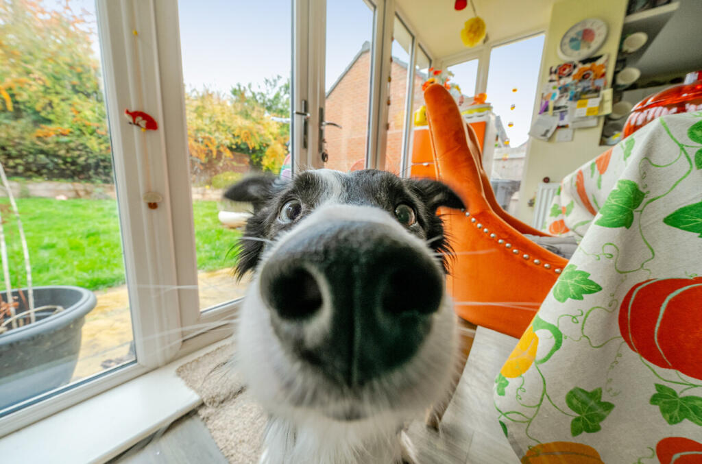 1375045-29-69088957aaa11