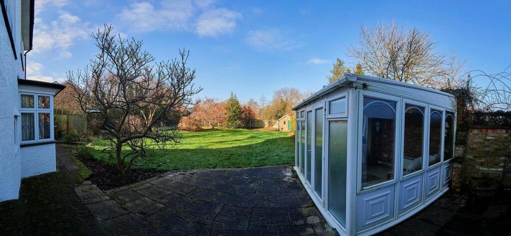 garden 3.jpg