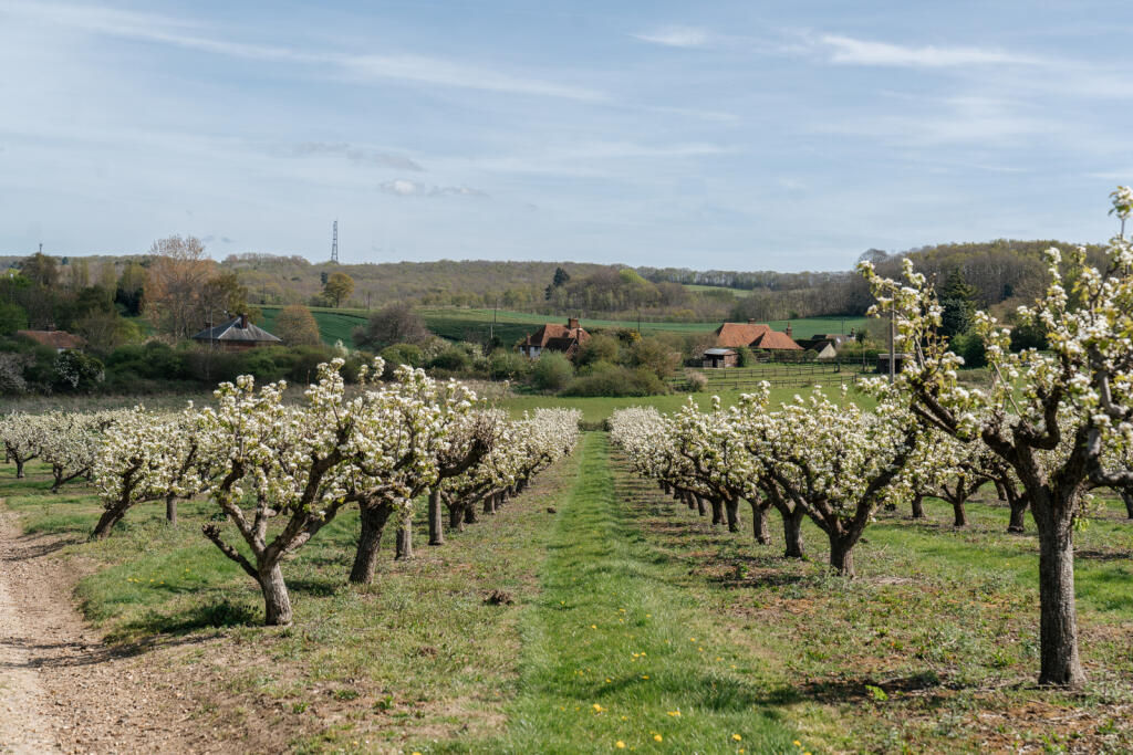 277428 - 4WalnutTreeCottages_HighRes-59.jpg