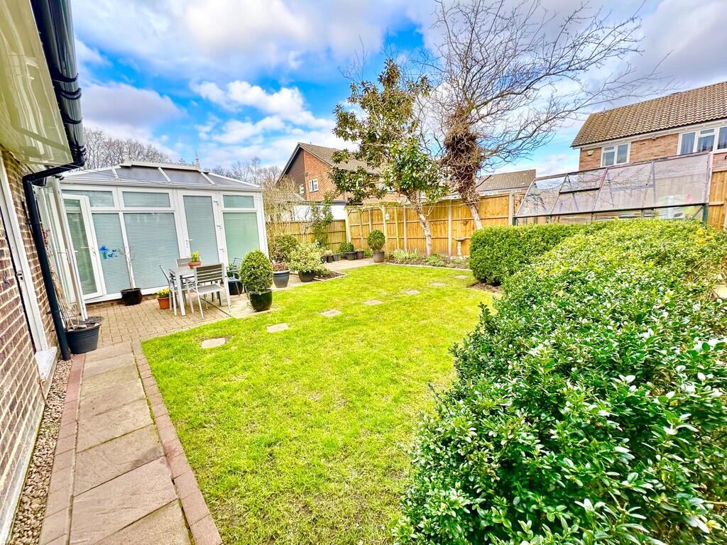 IMG-20250317-WA00...