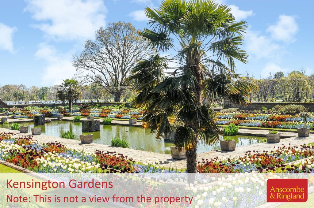 Local Area Shot - Kensington Gardens