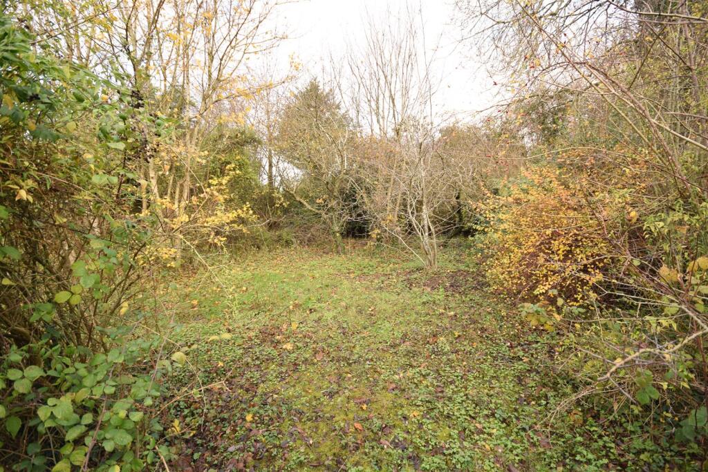 Reynard Way, Northampton