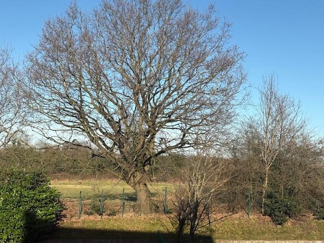 19 Cooper Street 11.jpg