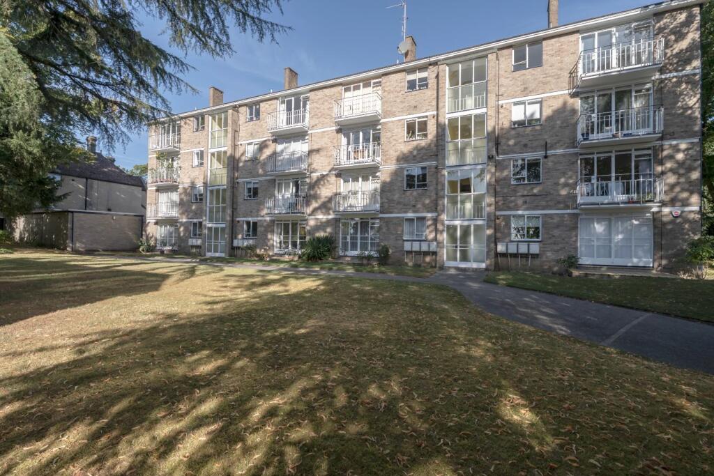 DSC02651-Edit copy.jpg