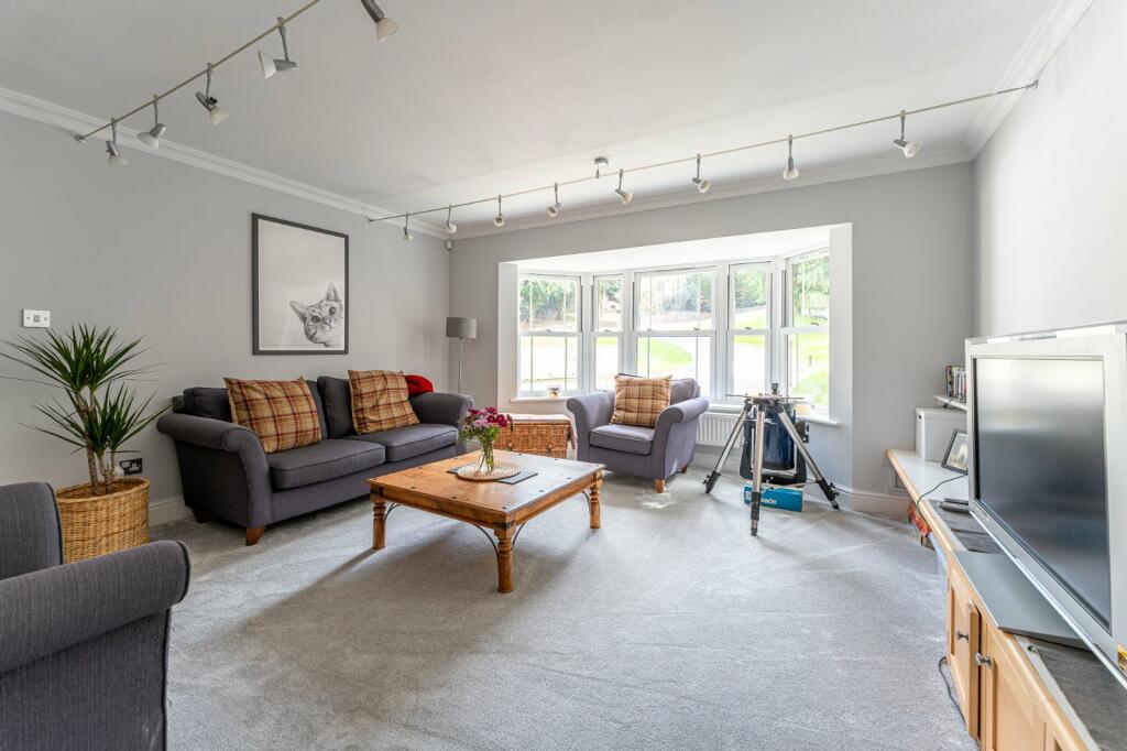 Living Room/Bedroom