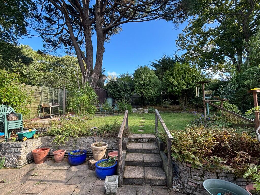 Rear Gardens 