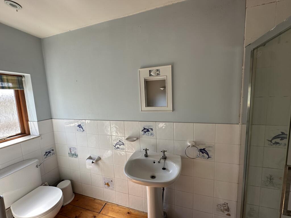 IMG 2074 T202504141546.jpg