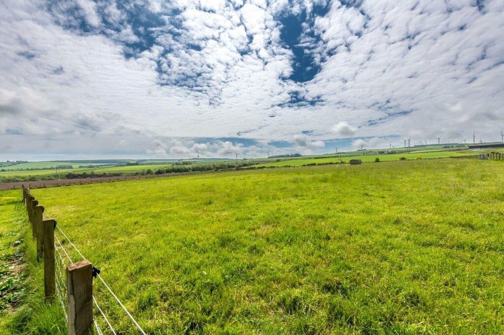 Paddocks