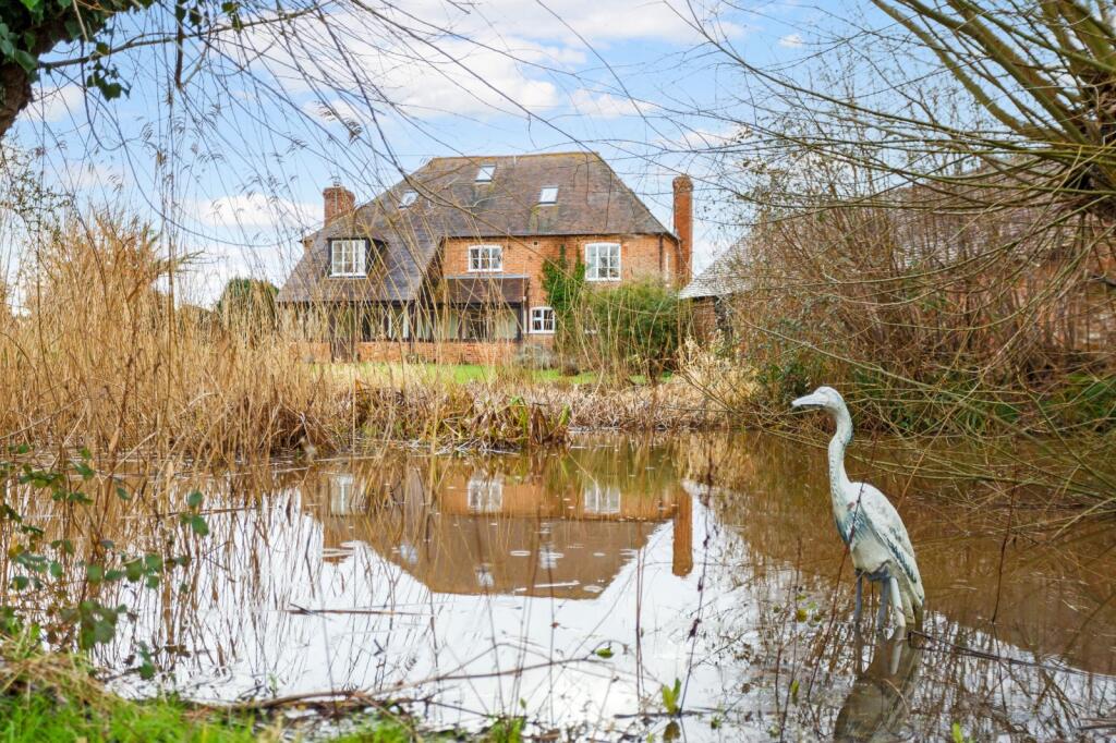 Pond