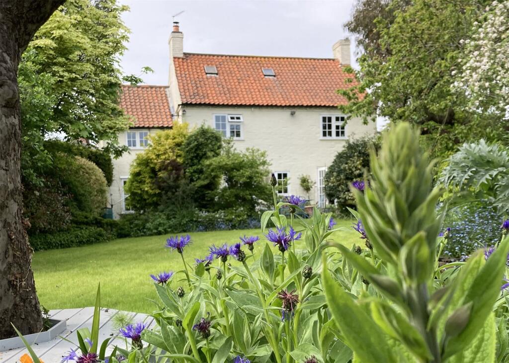 Garden In May