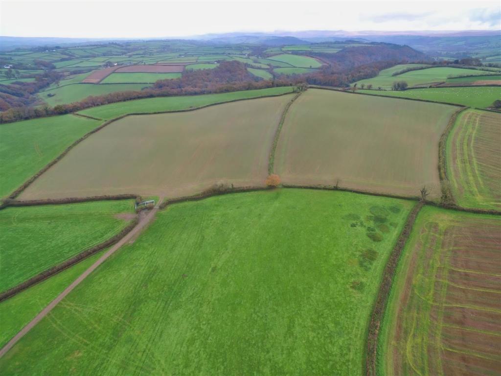 Grass and Arable Land