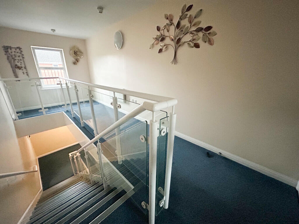 image_50426881 (2...