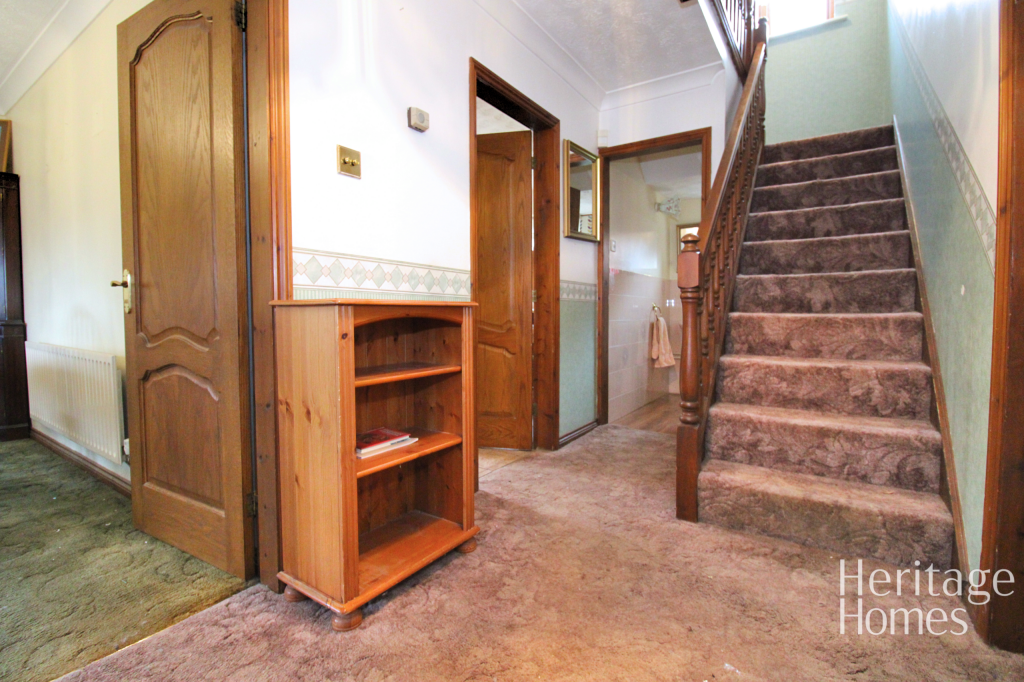 IMG_5029-fotor-2025022413186