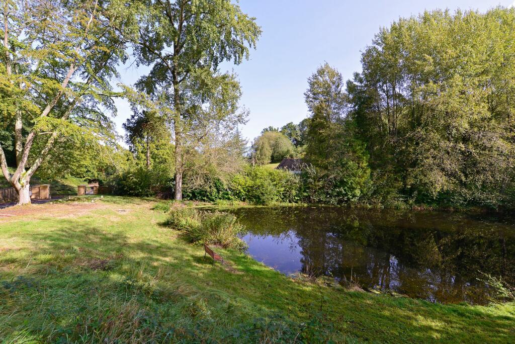 Pond